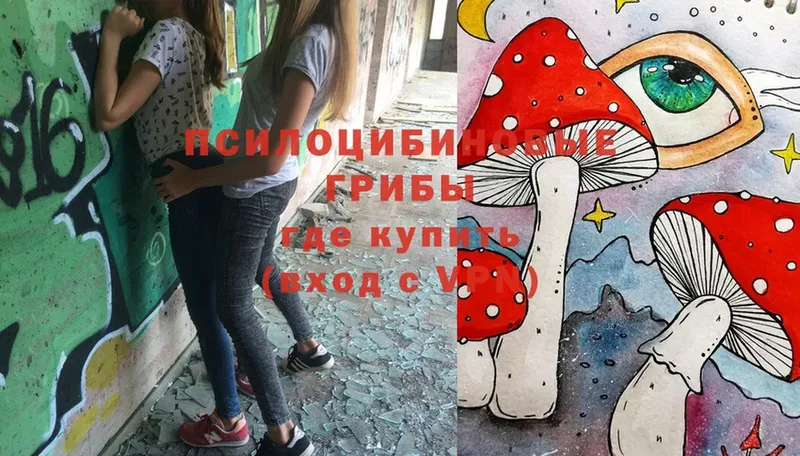 Галлюциногенные грибы MAGIC MUSHROOMS  OMG ТОР  Ставрополь 